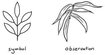 symbol vs. observation