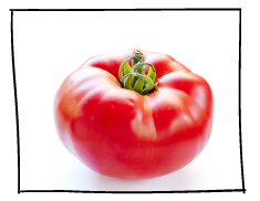 photo of tomato