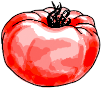 drawing of a tomato