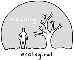 meaning in ecological perception