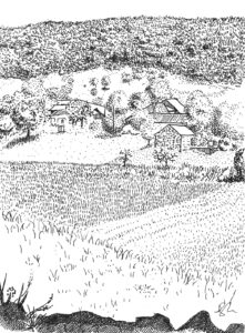Neighbours