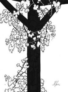 Vine stock