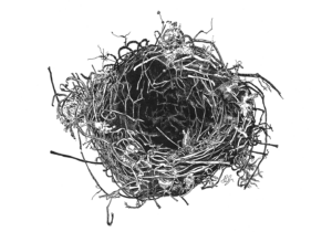 Nest